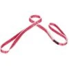 Mammut Belay Sling 19.0 Lus - 65 Cm Rood-wit