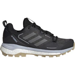 Adidas TERREX Dames Skychaser 2 GTX Schoenen