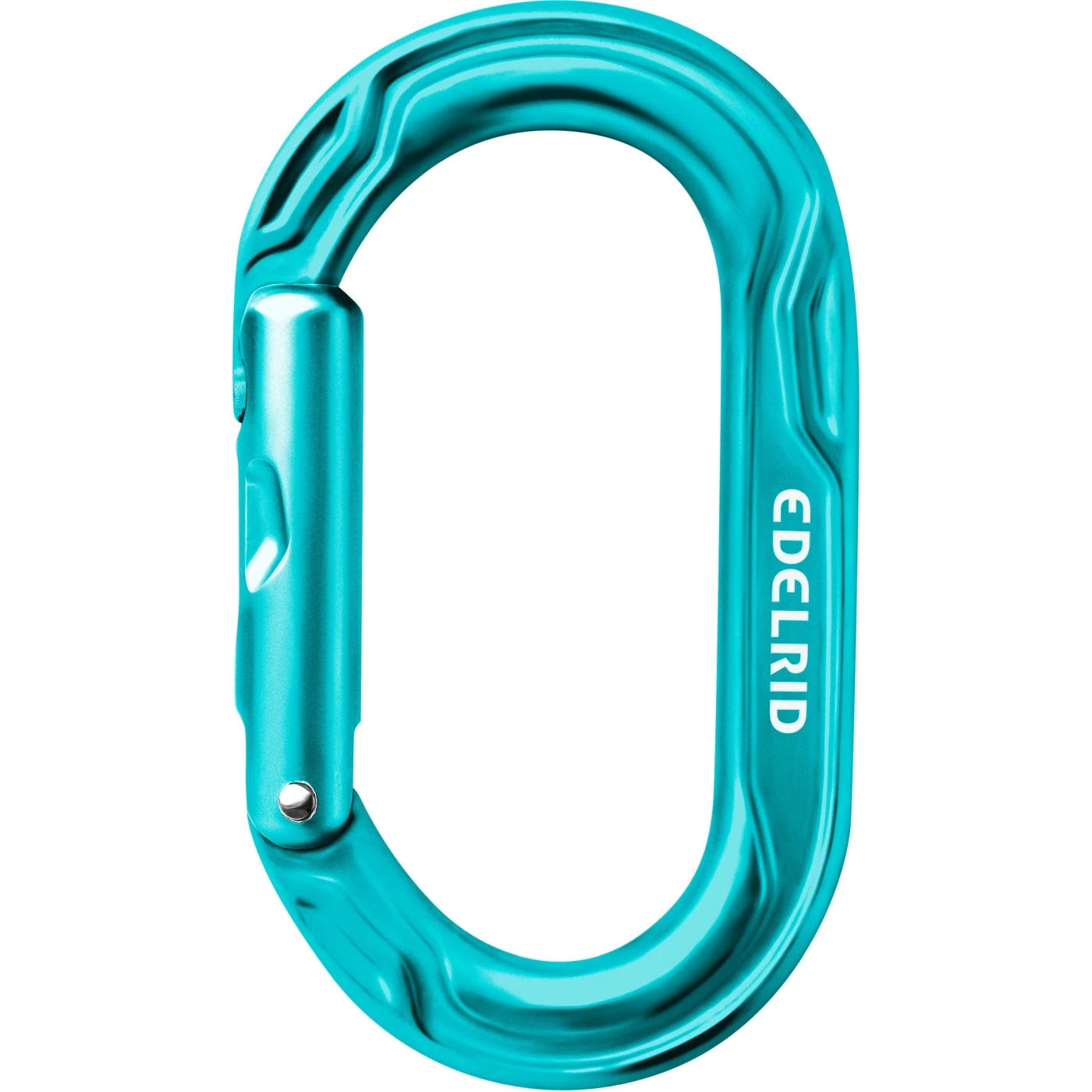 Edelrid Kiwi Carabiner - Icemint 1 Edelrid Kiwi Carabiner - Icemint