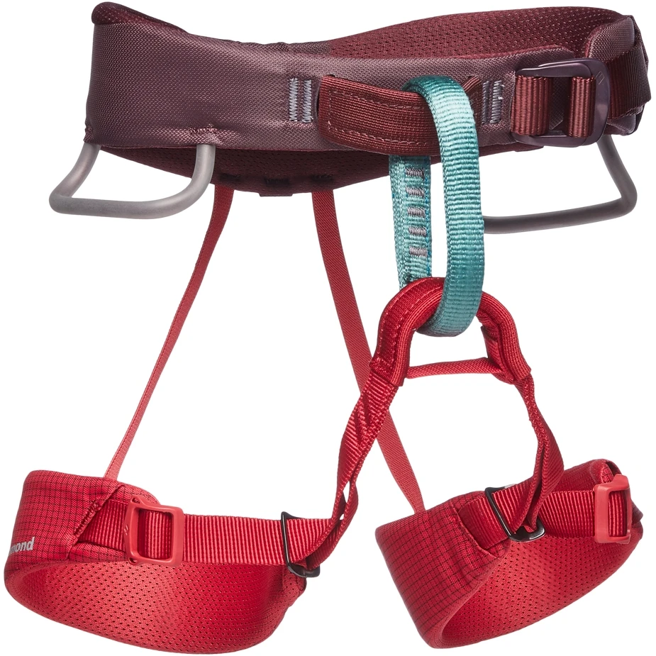 Black Diamond Momentum Kid's Harness - Wild Rose 1 Black Diamond Momentum Kid's Harness - Wild Rose