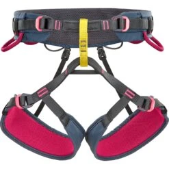 Climbing Technology Anthea Women's Harness - Anthracite / Cyclamen