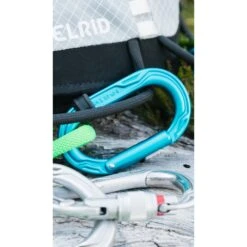 Edelrid Kiwi Slider Carabiner - Icemint -Edelrid Verkoopwinkel edelrid kiwi 73765 73755 9 1186382