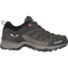 SALEWA Dames MTN Trainer Lite GTX Schoenen
