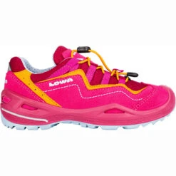 Lowa Kinderen Robin Evo GTX Low Schoenen