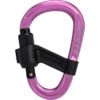 Mammut Smart HMS 2.0 Screwgate Carabiner - Pink